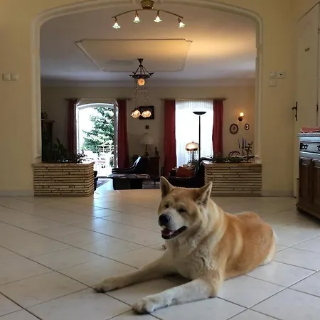 ベッド・アンド・ブレックファスト Kalman Pansio